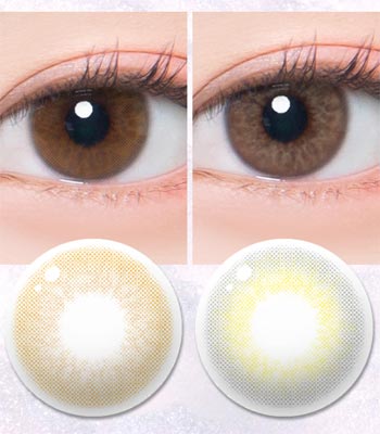 【1dayカラコン10枚】サングリアPPEUM・シリコーンハイドロゲル・ブラウングレー「最高品質」 含水率：43% 着色直径：13.0 BC: 8.6 ナチュラルハーフ sangria brown gray contact lens