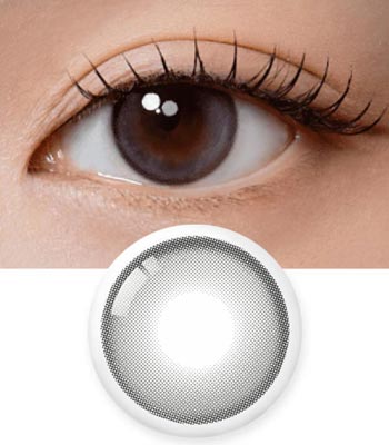 【ワンデー／10枚】ラテ グレーのブルーライトカットカラコン｜着色直径13.0mm・含水率48％｜～-8.00｜PREMIUM アンチブルー（Anti Blue）